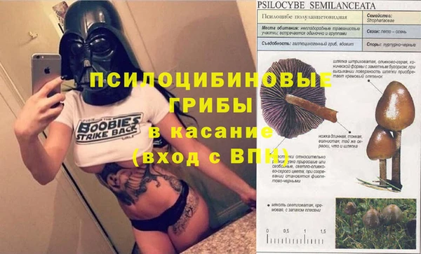 спайс Алзамай