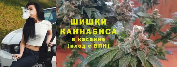 спайс Алзамай