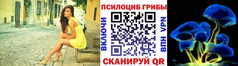 Псилоцибиновые грибы Magic Shrooms  omg ТОР  Пущино  магазин  наркотиков 